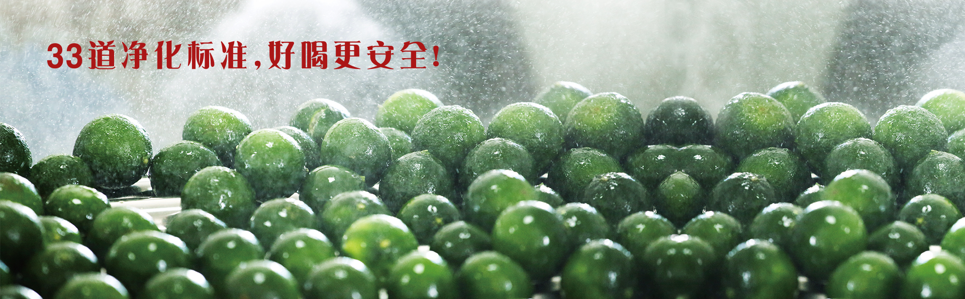 33道净化标准，好喝更安全！